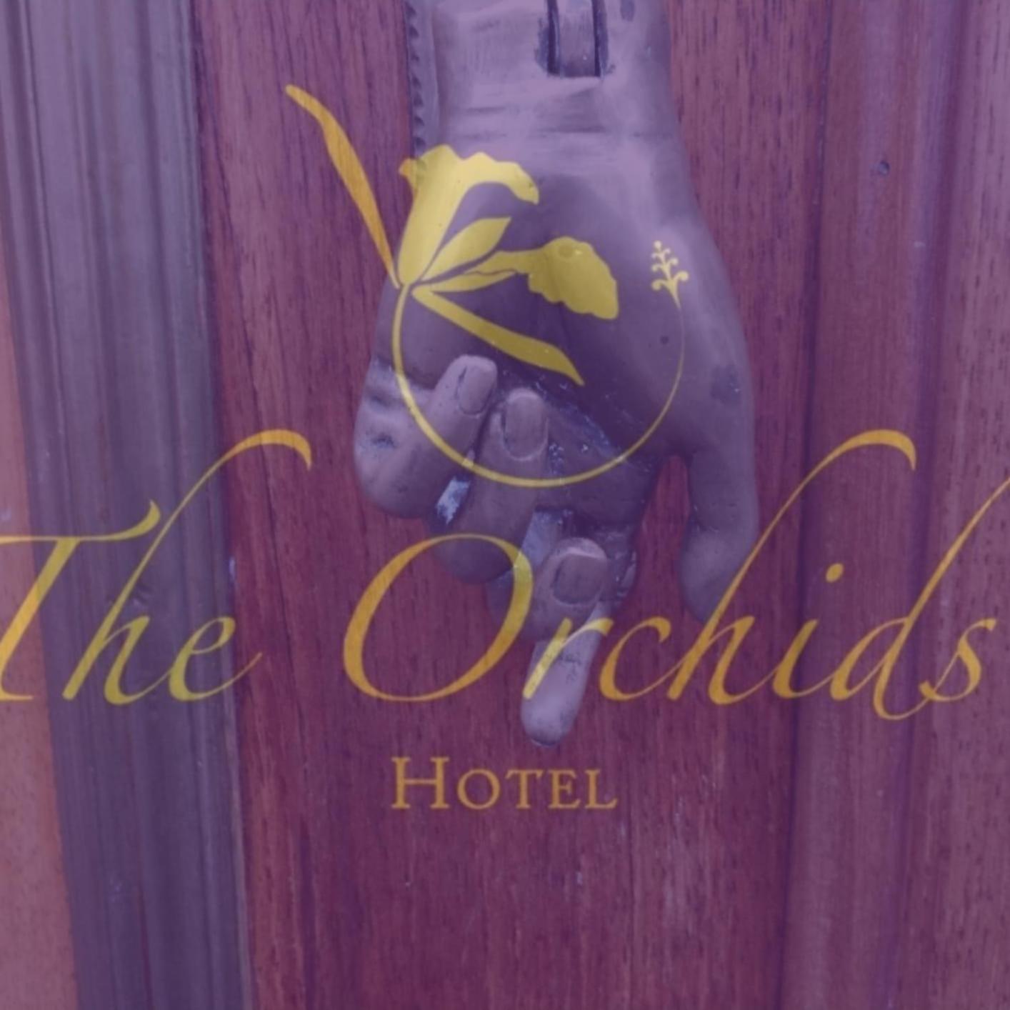 The Orchids — Photos 3